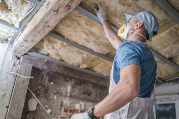 Best DIY Insulation Kits and Guidance in Brookland, AR